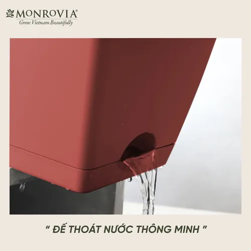 Chậu Cây Treo Ban Công Monrovia – Biến Ban Công Thành Khu Vườn Tươi Mát.