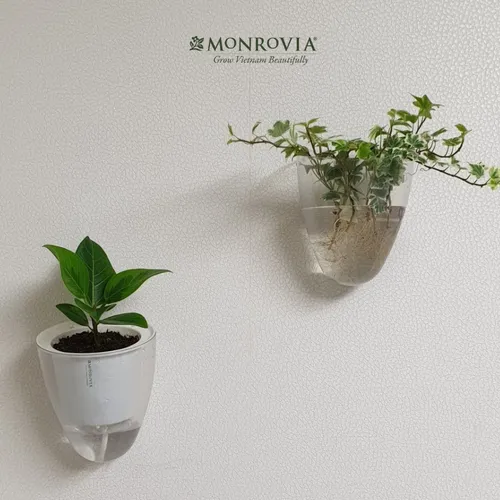 🌸Chậu Ban Công Tự Tưới- K01 MONROVIA- Tô Điểm Không Gian Sống.