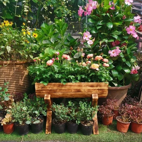 🌱Chậu Gỗ Trồng Cây Ban Công: Nét Mộc Mạc Cho Không Gian Xanh!