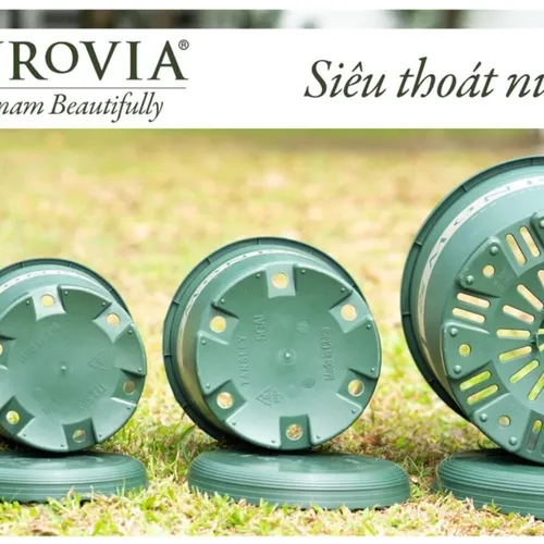 🌻 Chậu Trồng Cây Cảnh Trong Nhà, Ngoài Trời,  Bền Đẹp.