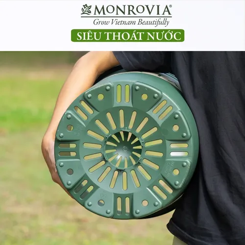 🌻 Chậu Trồng Cây Cảnh Trong Nhà, Ngoài Trời,  Bền Đẹp.