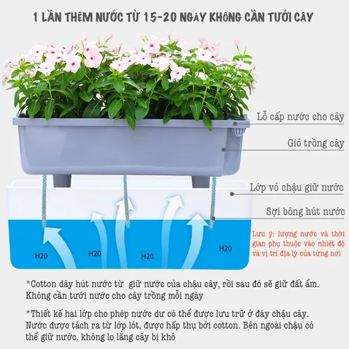 🌺 Chậu Trồng Cây Hình Chữ Nhật –Lựa Chọn Sang Trọng, Đẳng Cấp Cho Không Gian Xanh.