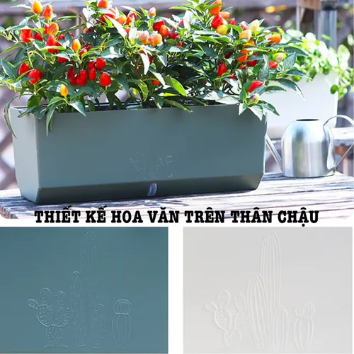 🌺 Chậu Trồng Cây Hình Chữ Nhật –Lựa Chọn Sang Trọng, Đẳng Cấp Cho Không Gian Xanh.