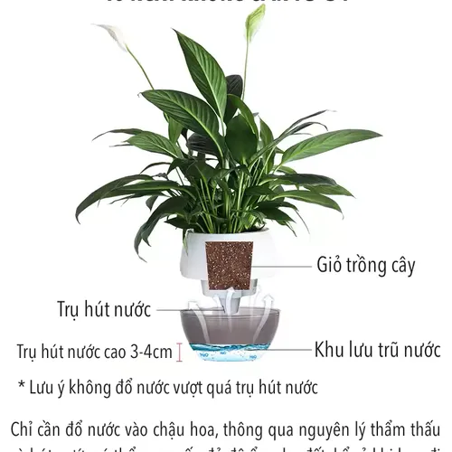 Chậu Cây Để Bàn Mini: Decor Bàn Làm Việc, Góc Học Tập Siêu Xinh.