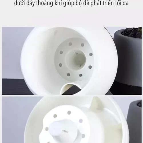 Chậu Cây Để Bàn Mini: Decor Bàn Làm Việc, Góc Học Tập Siêu Xinh.