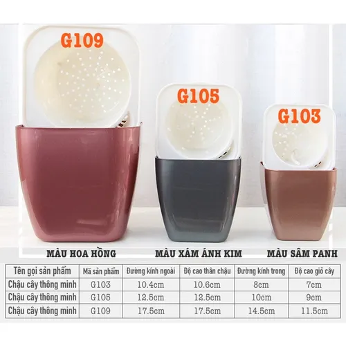 Chậu Hoa Mini Để Bàn: Quà Tặng Nhỏ Xinh, Ý Nghĩa Lớn.