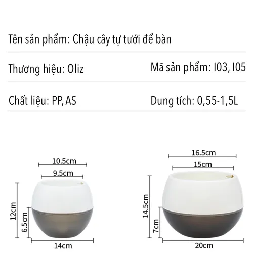 Chậu Cây Để Bàn Mini: Decor Bàn Làm Việc, Góc Học Tập Siêu Xinh.