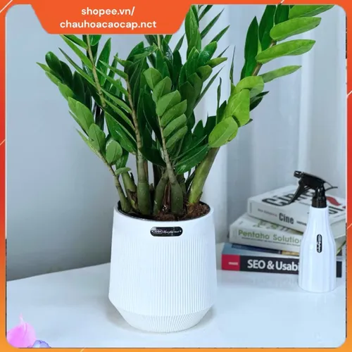 🧑‍🌾Chậu Nhựa Trồng Cây Giả Sứ Cao Cấp - Sang Trọng Như Sứ, Bền Bỉ Gấp Bội!