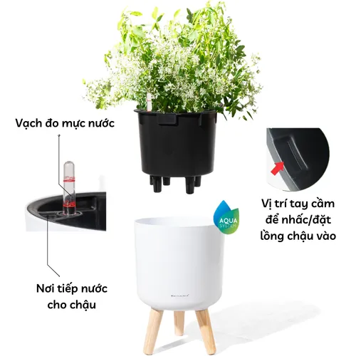 🌵 Chậu Trồng Cây Nhựa Thông Minh: Tự Dưỡng Ẩm, Thoát Nước Tốt.