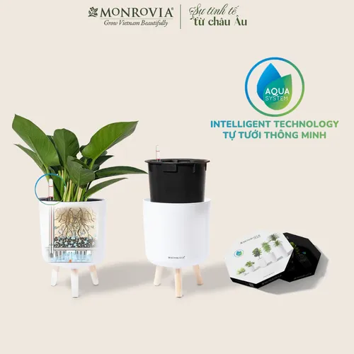 🌵 Chậu Trồng Cây Nhựa Thông Minh: Tự Dưỡng Ẩm, Thoát Nước Tốt.