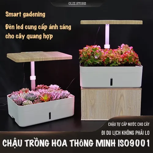 🌻 Chậu Cây Thông Minh Tự Tưới Oliz Z204 – Có Đèn Chiếu Sáng Quang Hợp Cho Cây.