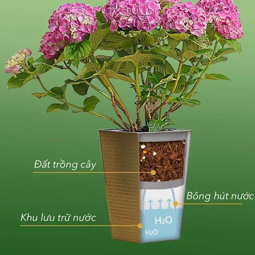 🌱 Chậu Trồng Cây Thông Minh Tự Tưới | Chăm Sóc Cây Nhàn Tênh!