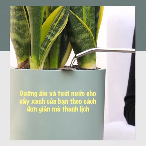 🌞 Chậu Trồng Cây Thông Minh – Tiết Kiệm Thời Gian, Có Chuông Báo Khi Cây Thiếu Nước.