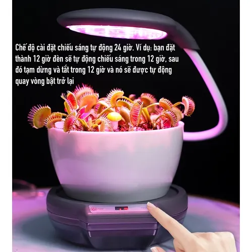 💡 Chậu Trồng Cây Thông Minh – Có Đèn Chiếu Sáng Quang Hợp Cho Cây.