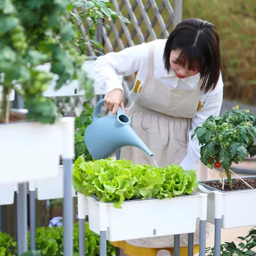 🌟 Chậu trồng rau 3 tầng- Tiết Kiệm Không Gian, Hiệu Quả Cao.