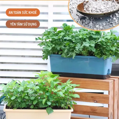 🌿 Chậu Nhựa Trồng Rau Sạch – Dễ Dàng Sử Dụng, Tiết Kiệm Chi Phí.