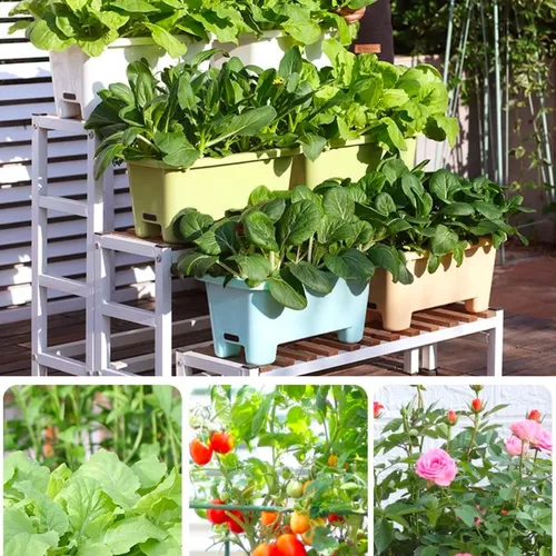 🌱 Chậu Trồng Rau Tự tưới – Dễ Dàng Trồng Rau Tại Nhà.