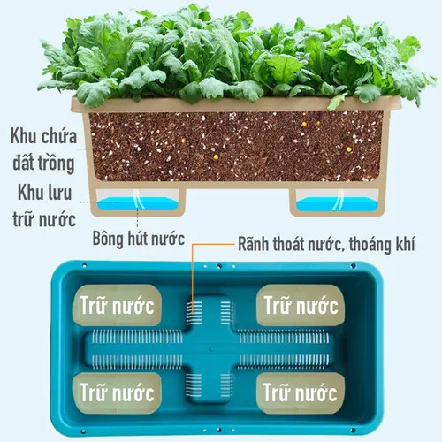 ✨ Chậu Trồng Rau Sân Thượng Thông Minh - Tối Ưu Không Gian.