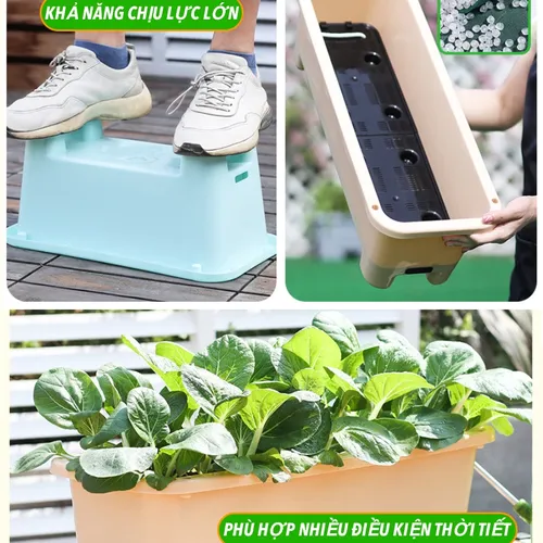 🌱 Chậu Trồng Rau Tự tưới – Dễ Dàng Trồng Rau Tại Nhà.