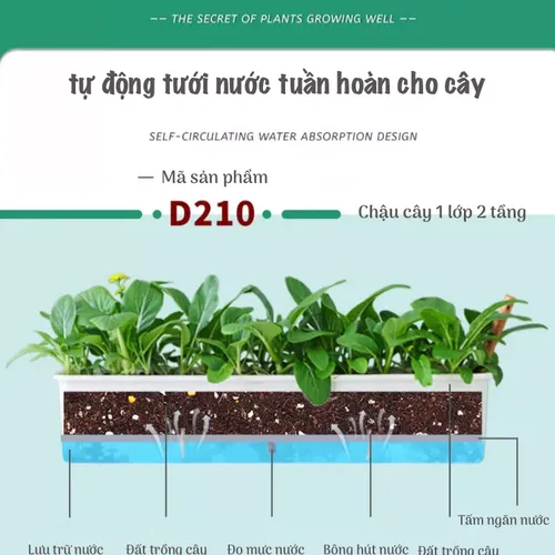 🌿 Chậu Trồng Rau Sân Thượng Thông Minh tự tưới, Không Tốn Công Chăm Sóc.