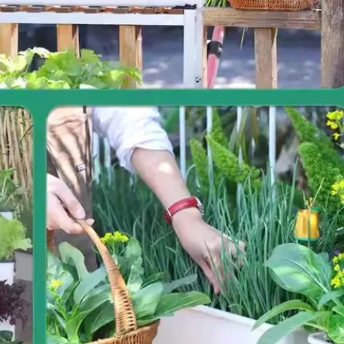 🌿 Chậu Trồng Rau Sân Thượng Thông Minh tự tưới, Không Tốn Công Chăm Sóc.