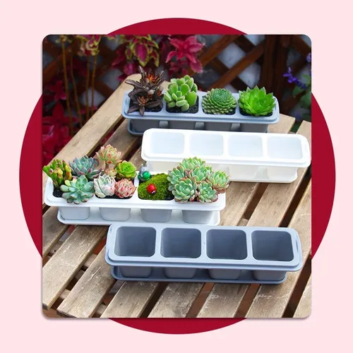  🌵✨Chậu Trồng Sen Đá Mini Để Bàn | Trang Trí Cực Chill, Giá Hạt Dẻ.