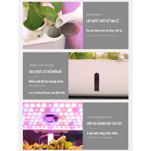 🌻 Chậu Cây Thông Minh Tự Tưới Oliz Z204 – Có Đèn Chiếu Sáng Quang Hợp Cho Cây.