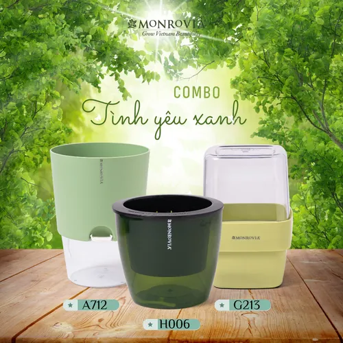 ✨ Combo Chậu Nhựa Nhỏ Xinh Xắn: Trang Trí Góc Yêu Thêm Sinh Động.