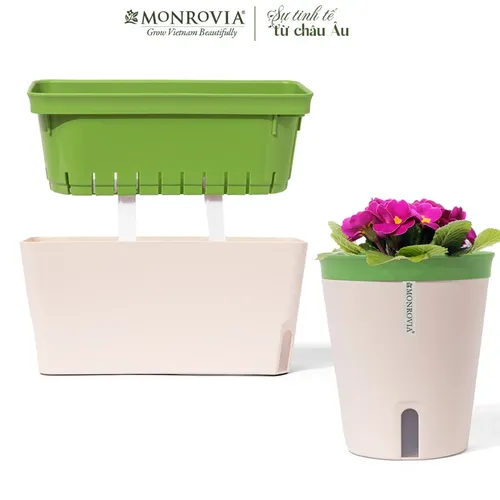 🌷 Combo Chậu Nhựa Trồng Cây Cảnh Thông Minh: Tự Tưới, Thoát Nước Tốt.