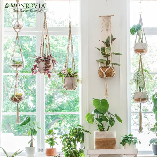 🌶️ Combo 4 Dây treo Chậu Cây Treo Tường Đẹp Mê Ly 