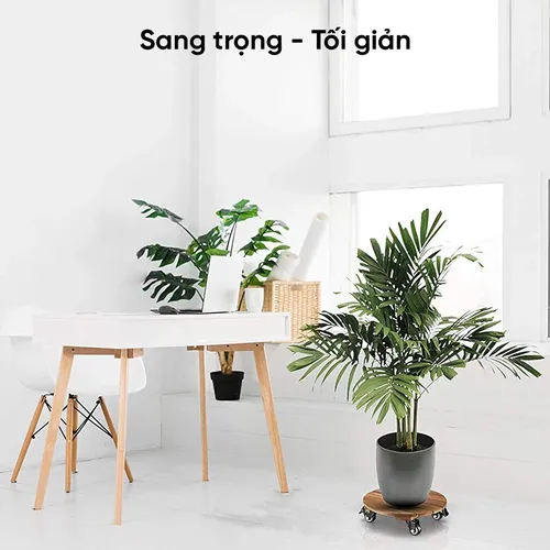 Đế Lót Chậu Cây Có Bánh Xe MONROVIA - Tiện Lợi - Di Chuyển Dễ Dàng, Bảo Vệ Chậu Cây.