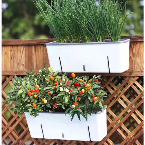 🌿 Chậu Treo Ban Công Thông Minh | Tự Tưới, Chất Liệu Bền Bỉ.