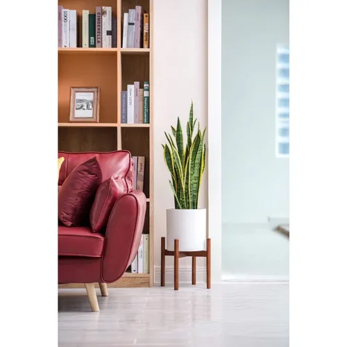 🌿 Khám Phá Đôn Gỗ Vuông Đẹp MONROVIA- Giá Đỡ Chậu Cây Chống Ẩm Cao cấp.