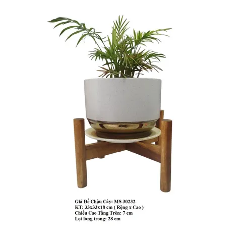 Đôn Gỗ Đẹp Cho Cây Cảnh – Tạo Dấu Ấn Riêng Cho Mỗi Không Gian.