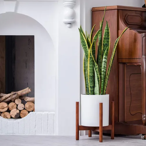 🌿 Khám Phá Đôn Gỗ Vuông Đẹp MONROVIA- Giá Đỡ Chậu Cây Chống Ẩm Cao cấp.