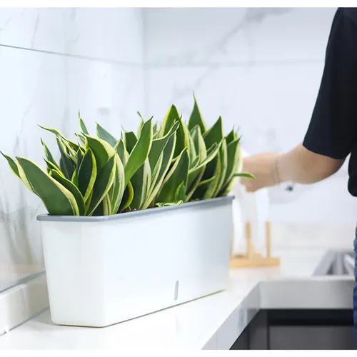 🌿Chậu Trồng Cây Ban Công Cao Cấp- Tự Tưới MONROVIA SC06- Đẹp Mắt, Bền Lâu.