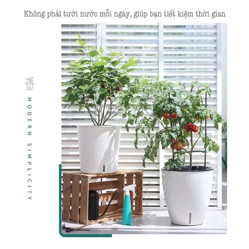 🔥 Chậu Nhựa Tròn Trồng Cây Cỡ Lớn Siêu Bền - Lựa Chọn Hoàn Hảo Cho Không Gian Xanh Mát!