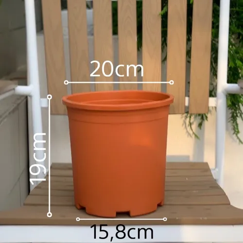 Chậu Nhựa Trồng Hoa Màu Cam VIETPOT – Sắc Màu Tươi Sáng Cho Không Gian Nhà Bạn.