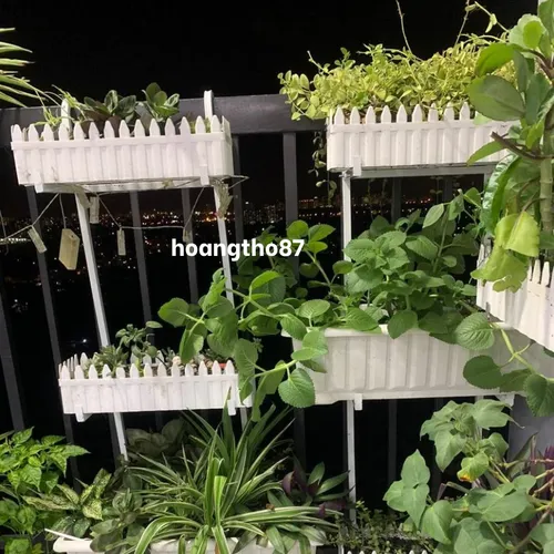 ☀️Giá Treo Chậu Trồng Cây Ban Công: Mang Thiên Nhiên Về Ngay Ngưỡng Cửa!