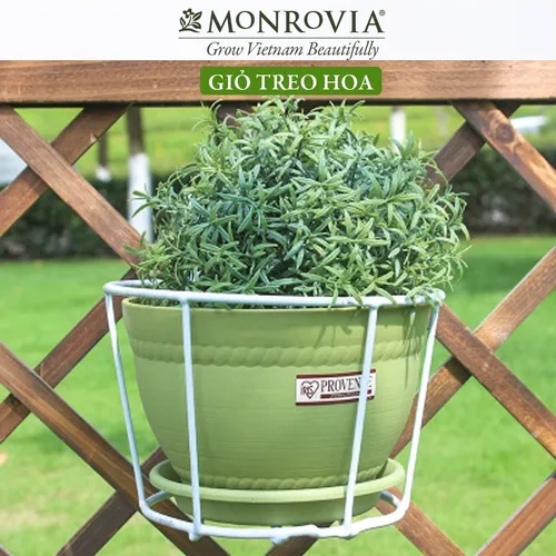 Giỏ Treo Cây Ban Công MONROVIA Thời Thượng – Tạo Nên Vẻ Đẹp Tươi Mới.