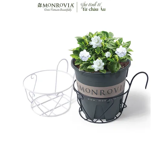 Giỏ Treo Cây Ban Công MONROVIA Thời Thượng – Tạo Nên Vẻ Đẹp Tươi Mới.