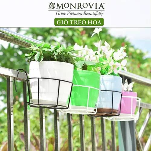Giỏ Treo Cây Ban Công MONROVIA Thời Thượng – Tạo Nên Vẻ Đẹp Tươi Mới.