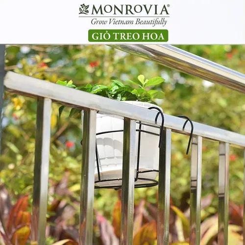 Giỏ Treo Cây Ban Công MONROVIA Thời Thượng – Tạo Nên Vẻ Đẹp Tươi Mới.