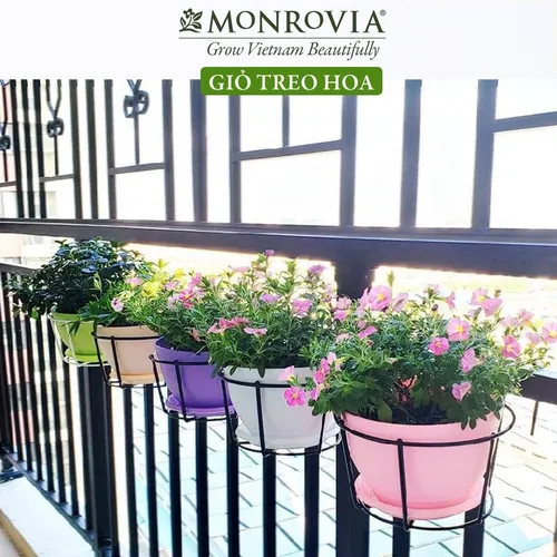 Giỏ Treo Cây Ban Công MONROVIA Thời Thượng – Tạo Nên Vẻ Đẹp Tươi Mới.