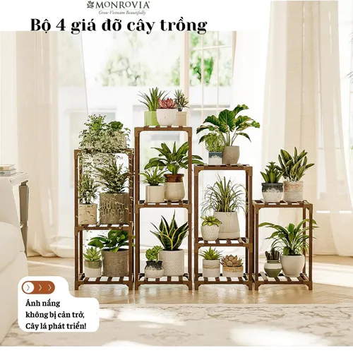 Kệ Gỗ Để Cây Cảnh Trong Nhà – Phong Cách Hiện Đại Cho Từng Góc Nhỏ.