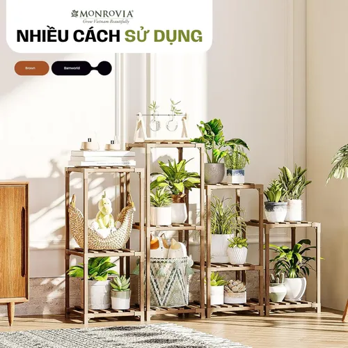 Kệ Gỗ Để Cây Cảnh Trong Nhà – Phong Cách Hiện Đại Cho Từng Góc Nhỏ.