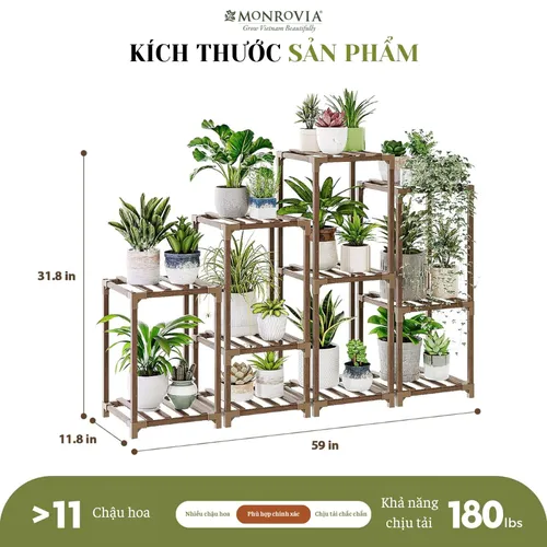 Kệ Gỗ Để Cây Cảnh Trong Nhà – Phong Cách Hiện Đại Cho Từng Góc Nhỏ.