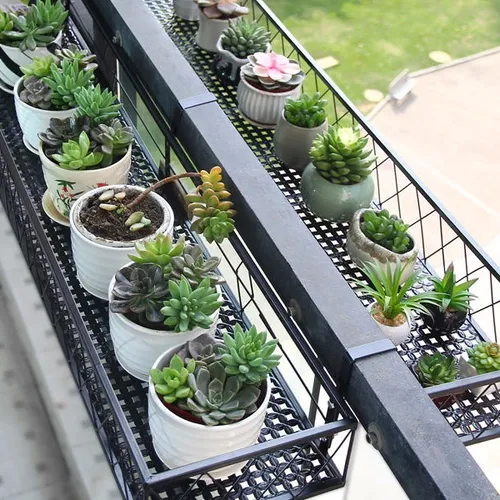 Kệ Trồng Sen Đá Sáng Tạo – Mang Không Gian Xanh Mát Cho Ban Công nhà Bạn.