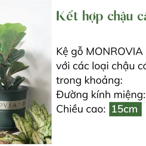 Kệ Để Cây Cảnh Gỗ Tự Nhiên- Thêm Sắc Xanh Cho Ngôi Nhà Bạn.