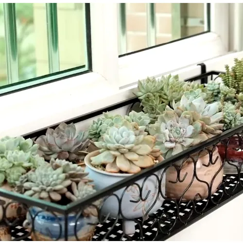 Kệ Trồng Sen Đá Sáng Tạo – Mang Không Gian Xanh Mát Cho Ban Công nhà Bạn.